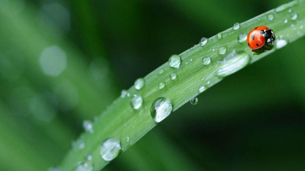 15 августа 2020 – какой праздник сегодня и что нельзя делать 15 августа 2020 – какой праздник сегодня и что нельзя делать