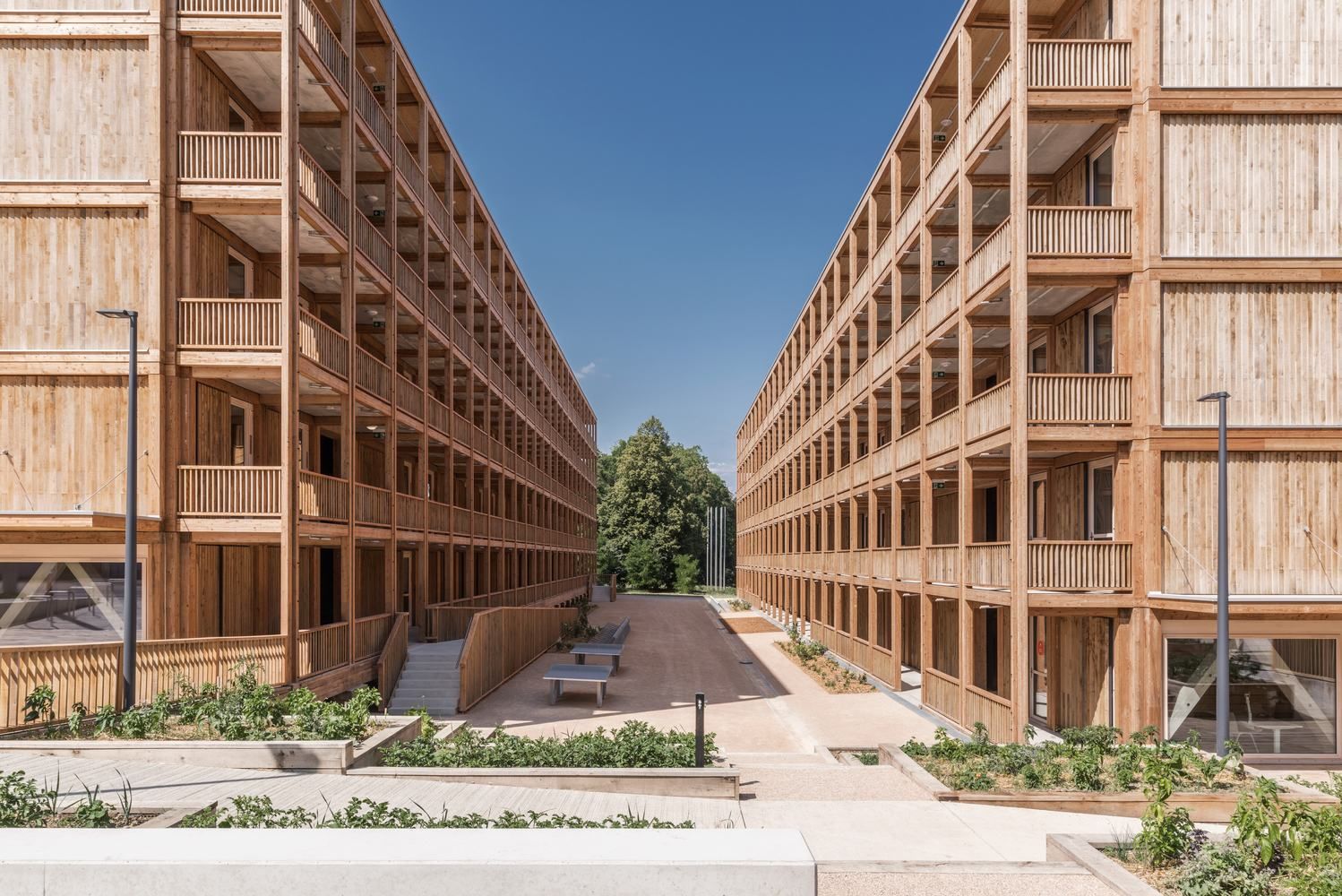 Повністю дерев'яна багатоповерхівка: в Женеві з'явився масштабний екологічний проєкт – фото 