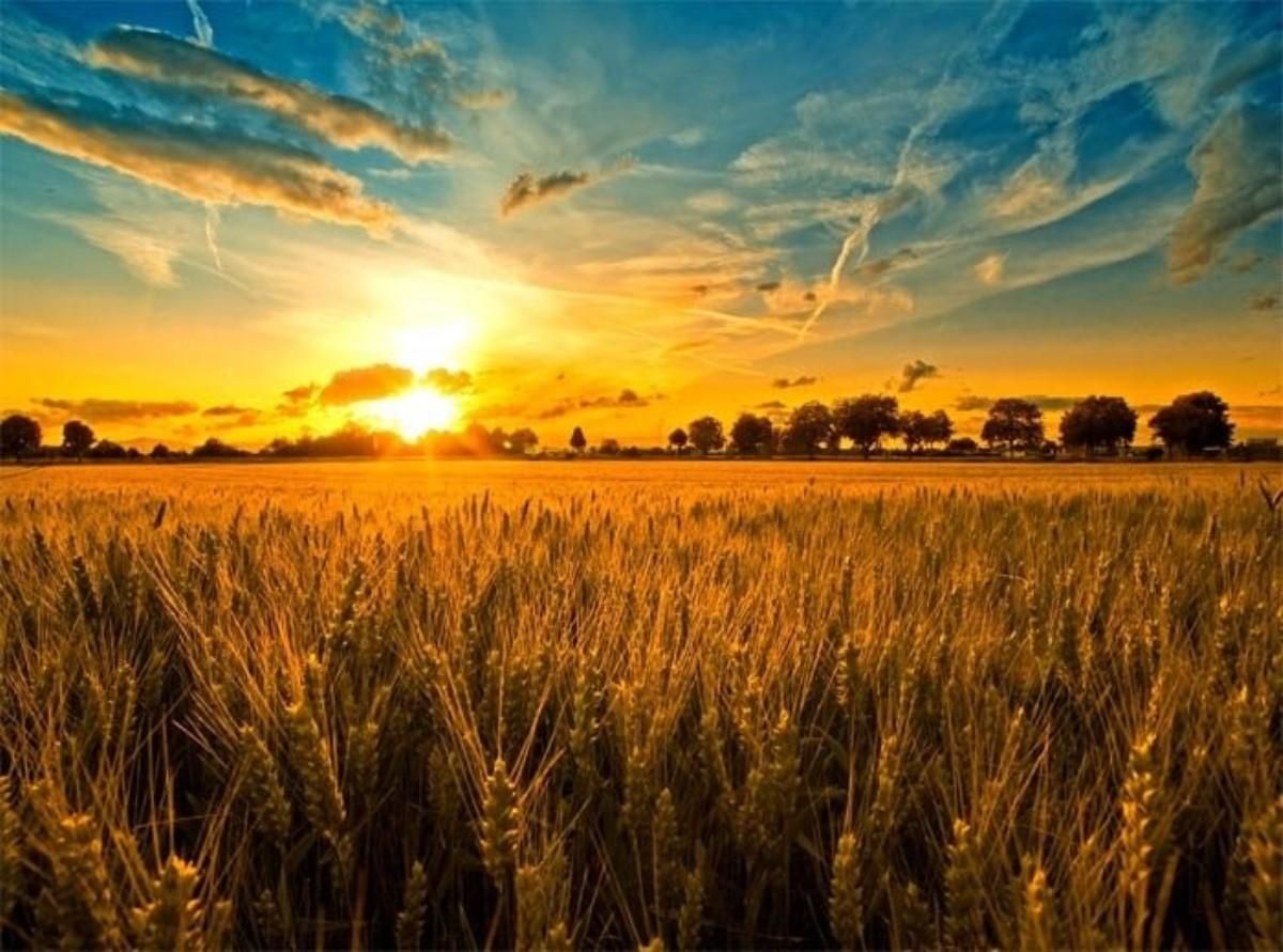 Какой праздник 24 августа 2020 – что нельзя делать Какой праздник 24 августа 2020 – что нельзя делать