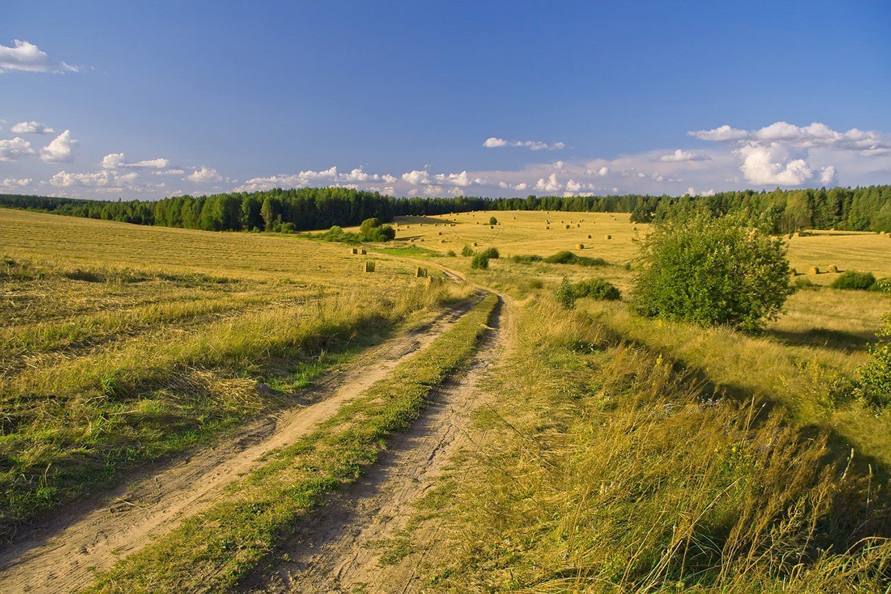 25 серпня 2020 – яке свято, що не можна робити 25 серпня 2020 – яке свято, що не можна робити