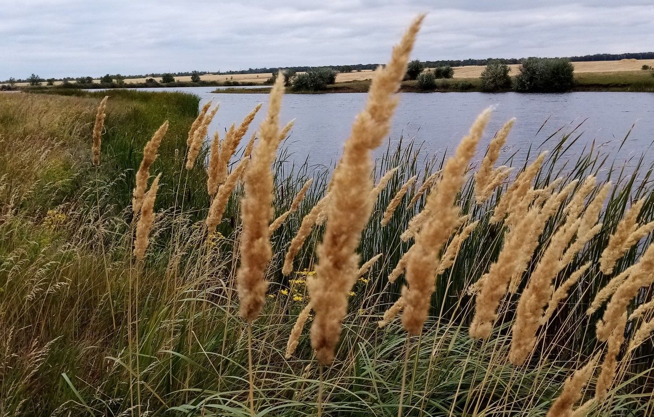 26 августа 2020 праздник – какой праздник и что нельзя 26 августа 2020 праздник – какой праздник и что нельзя