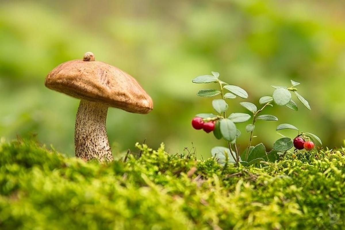 1 сентября 2020 – какой праздник и что нельзя делать 1 сентября 2020 – какой праздник и что нельзя делать