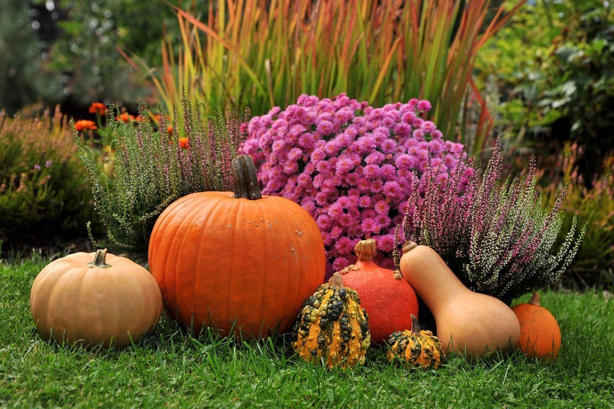 Что можно и нельзя делать 4 сентября 2020 – какой сегодня праздник Что можно и нельзя делать 4 сентября 2020 – какой сегодня праздник