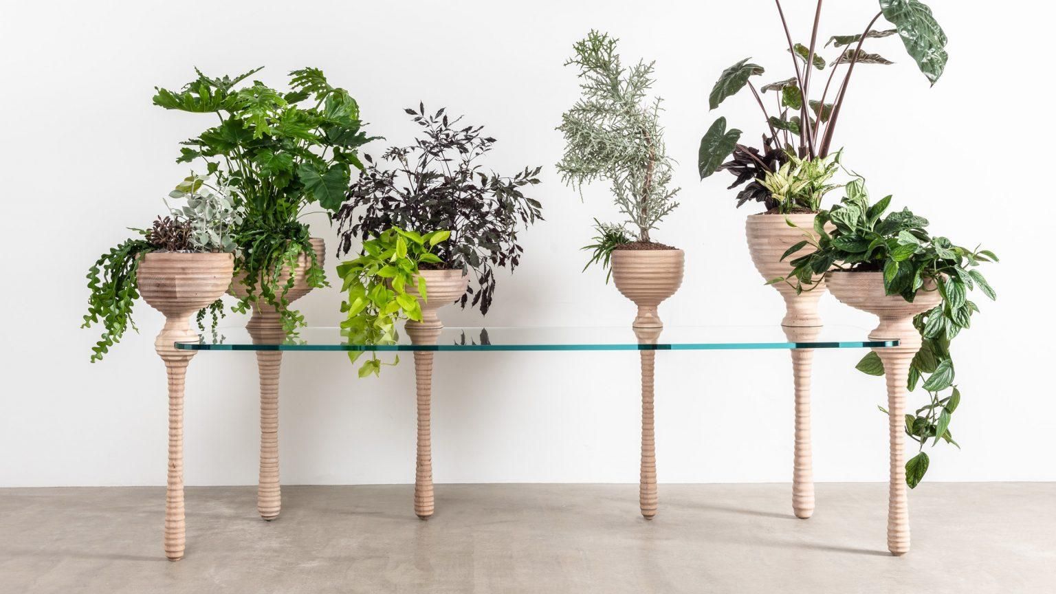 В Великобритании разработали журнальный столик с ножками-вазонами: фото В Великобритании разработали журнальный столик с ножками-вазонами: фото