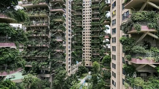 У Китаї багатоповерхівки з вертикальним лісом заполонили комарі: чому там не хочуть жити люди