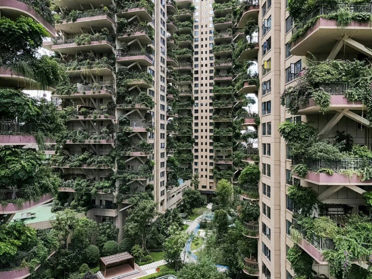 В Китае многоэтажки с вертикальным лесом заполонили комары: почему там не хотят жить люди