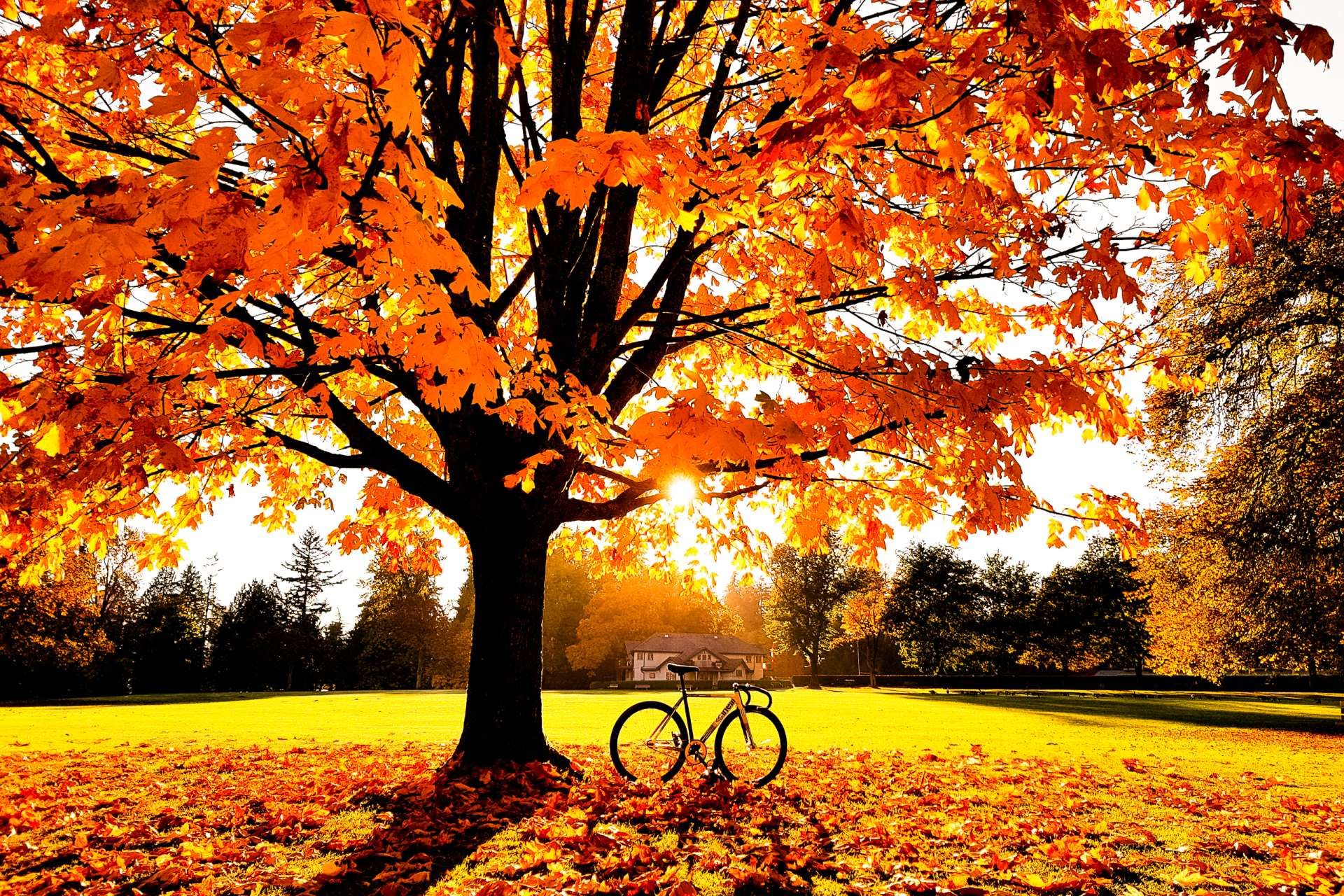 Яке свято 25 вересня 2020 та що не можна робити в цей день Яке свято 25 вересня 2020 та що не можна робити в цей день