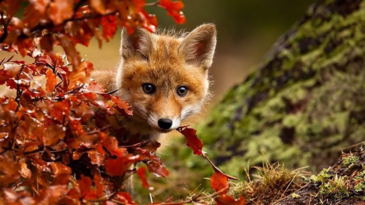 27 вересня 2020 – яке сьогодні свято, що не можна робити 27 вересня 2020 – яке сьогодні свято, що не можна робити