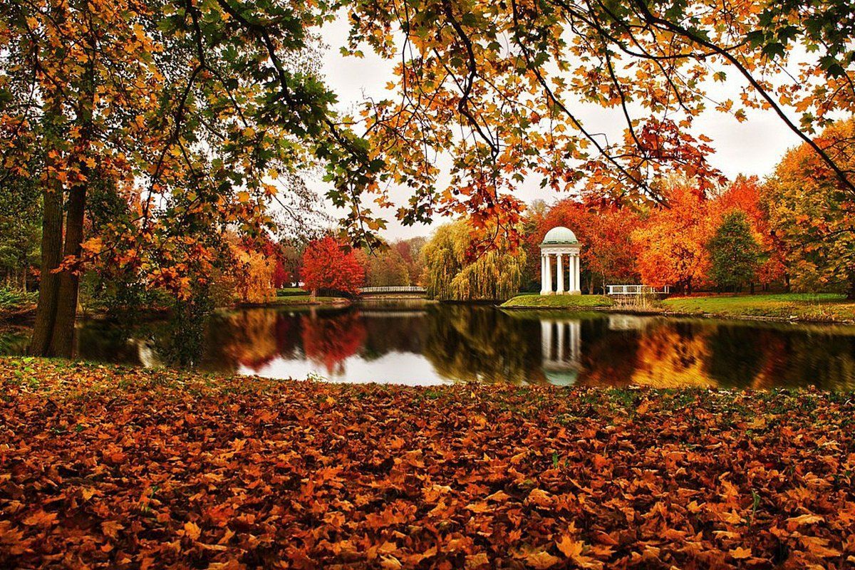 Найгарніші парки України: осінні фото, які зачаровують