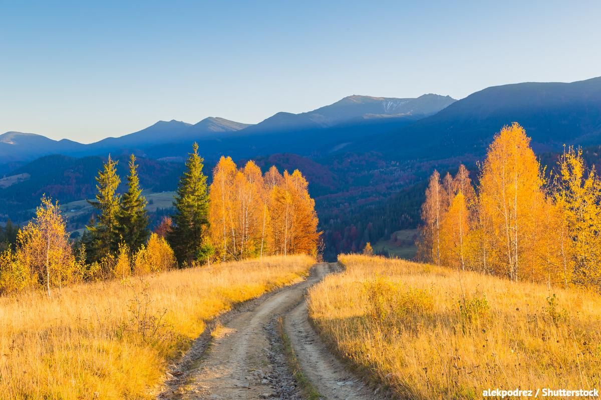 6 жовтня 2020 – яке свято, що не можна робити 6 жовтня 2020 – яке свято, що не можна робити