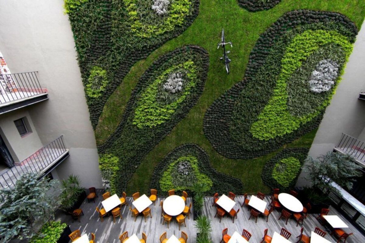 Вертикальная лесная лужайка в отеле: фото невероятного дизайна из Мексики