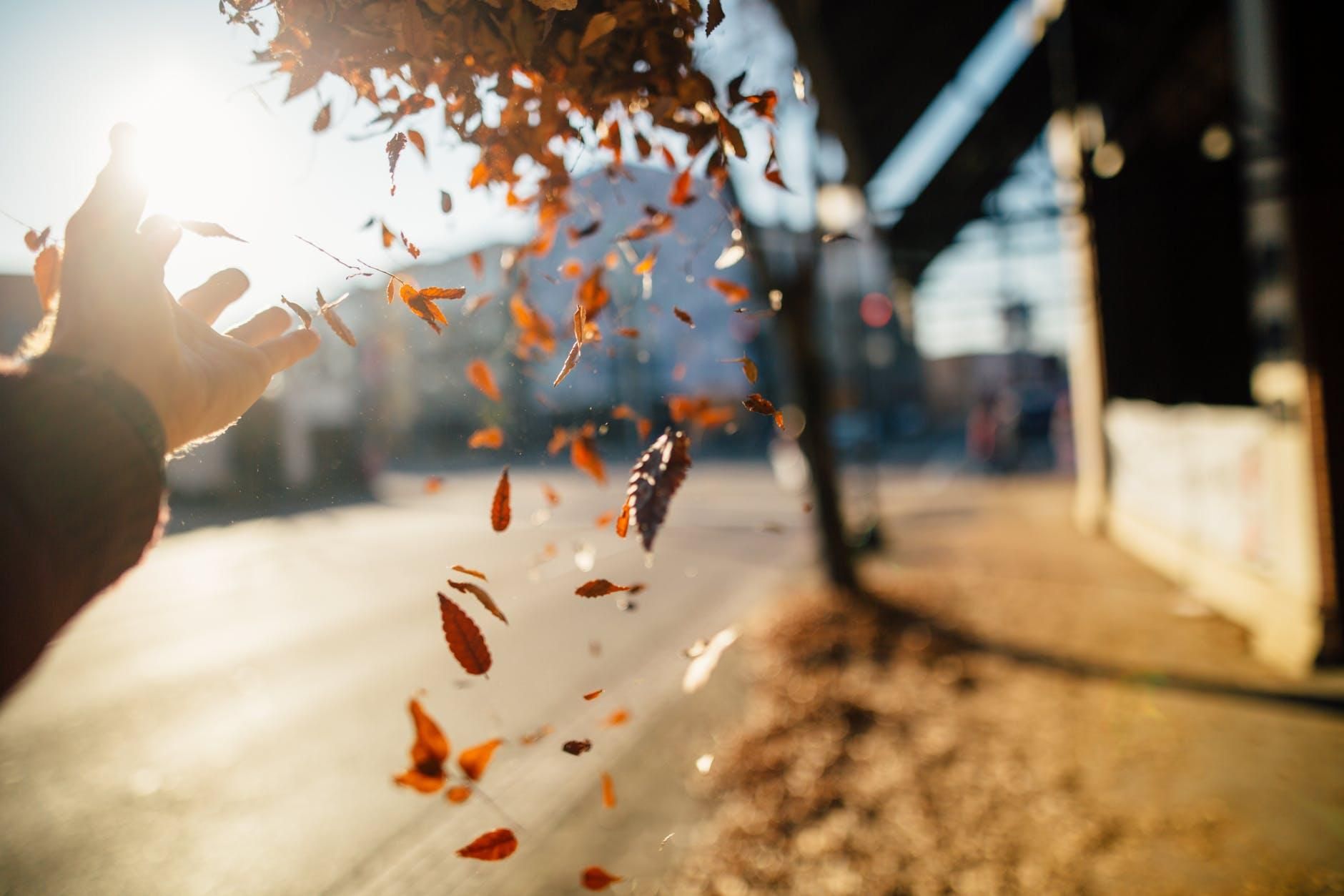 19 жовтня 2020 – яке свято, що не можна робити 19 жовтня 2020 – яке свято, що не можна робити