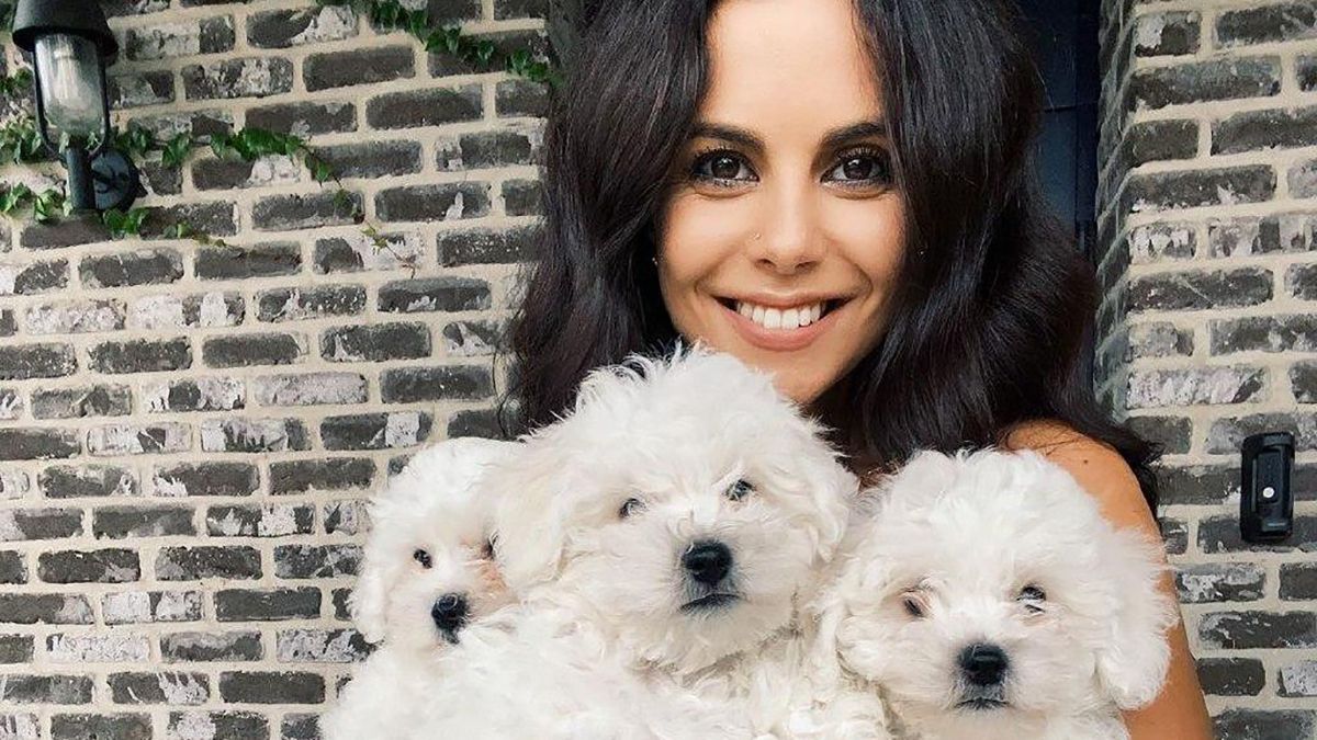 Настя Каменских очаровала сеть кадром со щенками: невероятное фото Настя Каменских очаровала сеть кадром со щенками: невероятное фото