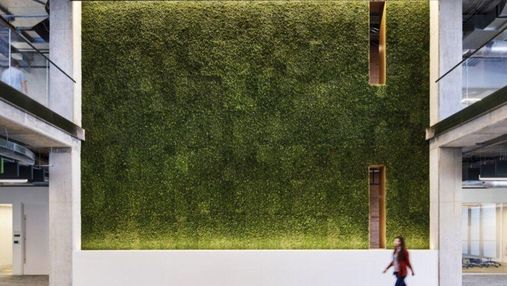 Офіс, що дбає про здоров’я: фото стильного екологічного дизайну з США

