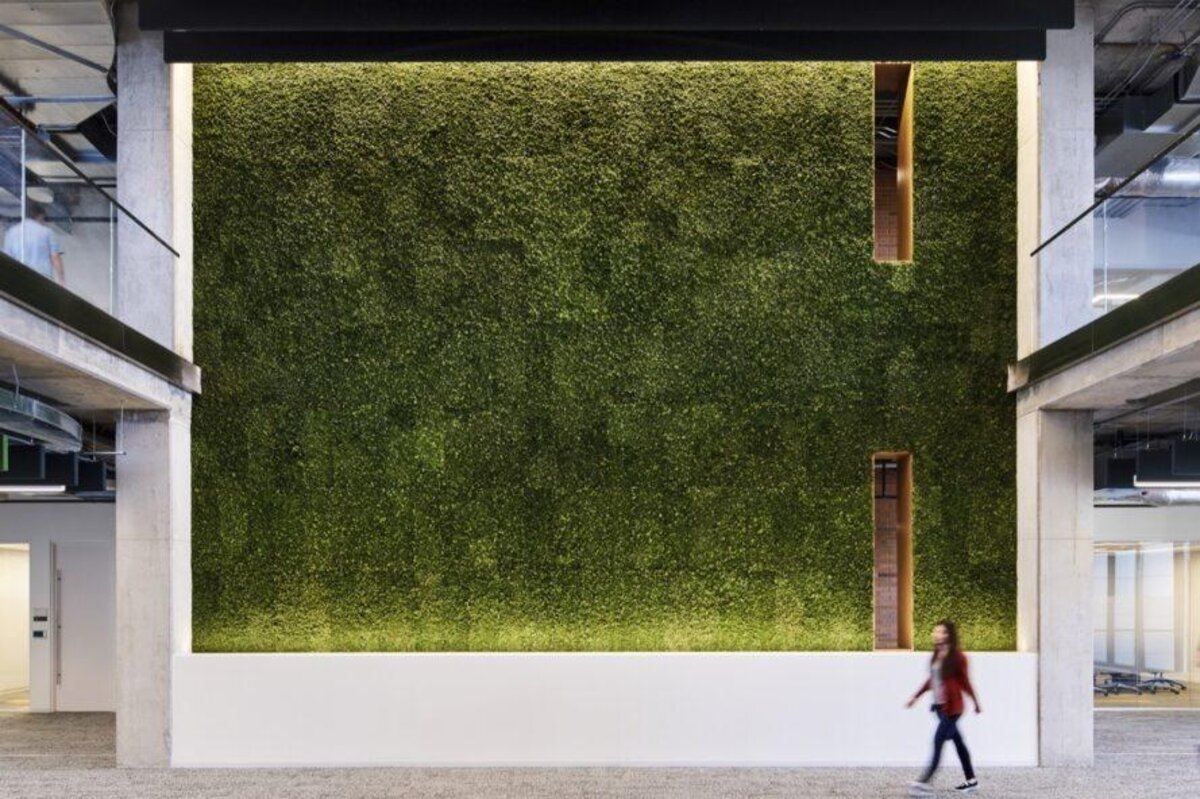 Офис, который заботится о здоровье: фото стильного экологического дизайна в США
