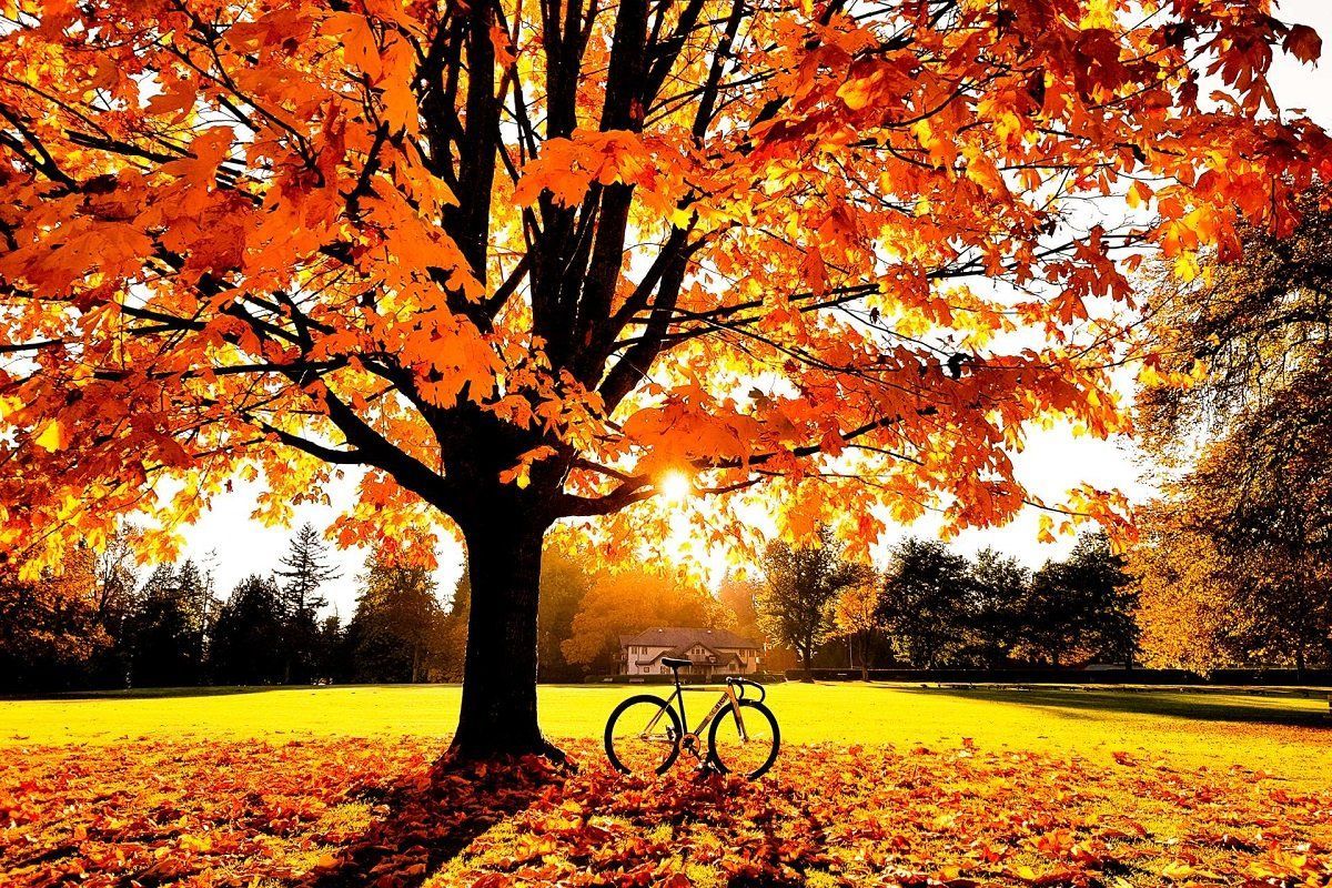 5 листопада 2020 – яке свято, що не можна робити 5 листопада 2020 – яке свято, що не можна робити