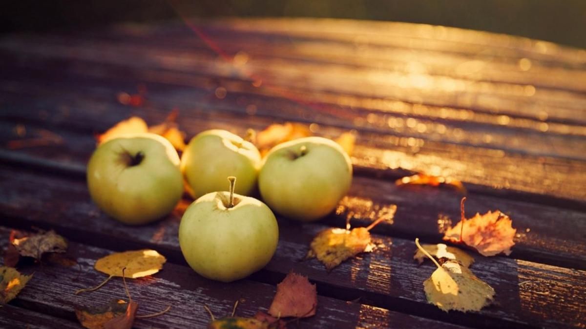 13 листопада 2020 – яке свято, що не можна робити 13 листопада 2020 – яке свято, що не можна робити