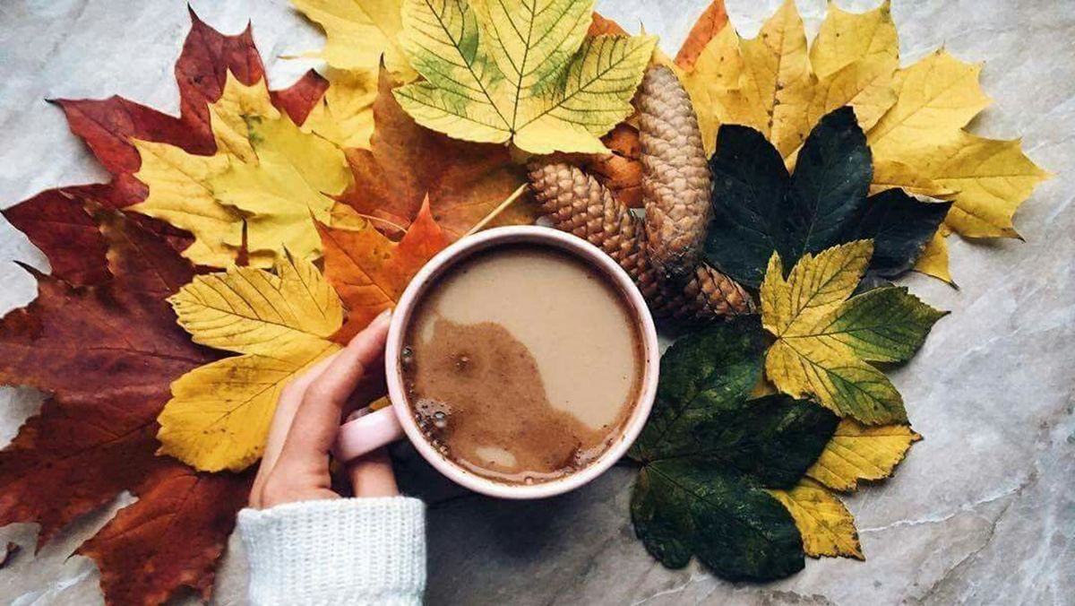 17 ноября 2020 – какой праздник и что нельзя делать 17 ноября 2020 – какой праздник и что нельзя делать