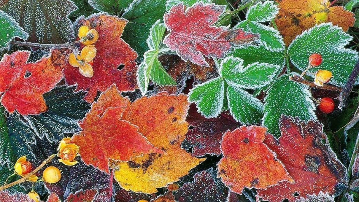 18 листопада 2020 – яке свято, що не можна робити 18 листопада 2020 – яке свято, що не можна робити