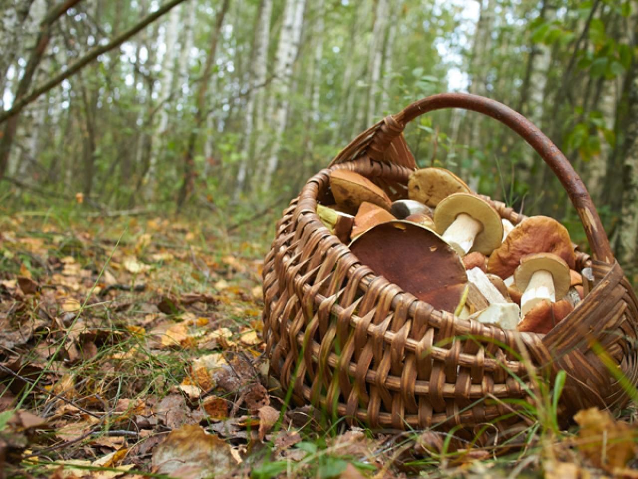 19 ноября 2020 – какой праздник и что нельзя делать 19 ноября 2020 – какой праздник и что нельзя делать