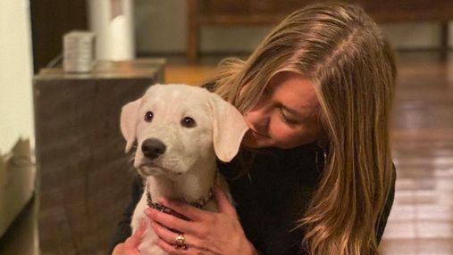 Дженнифер Энистон очаровала сеть фотографиями с собакой