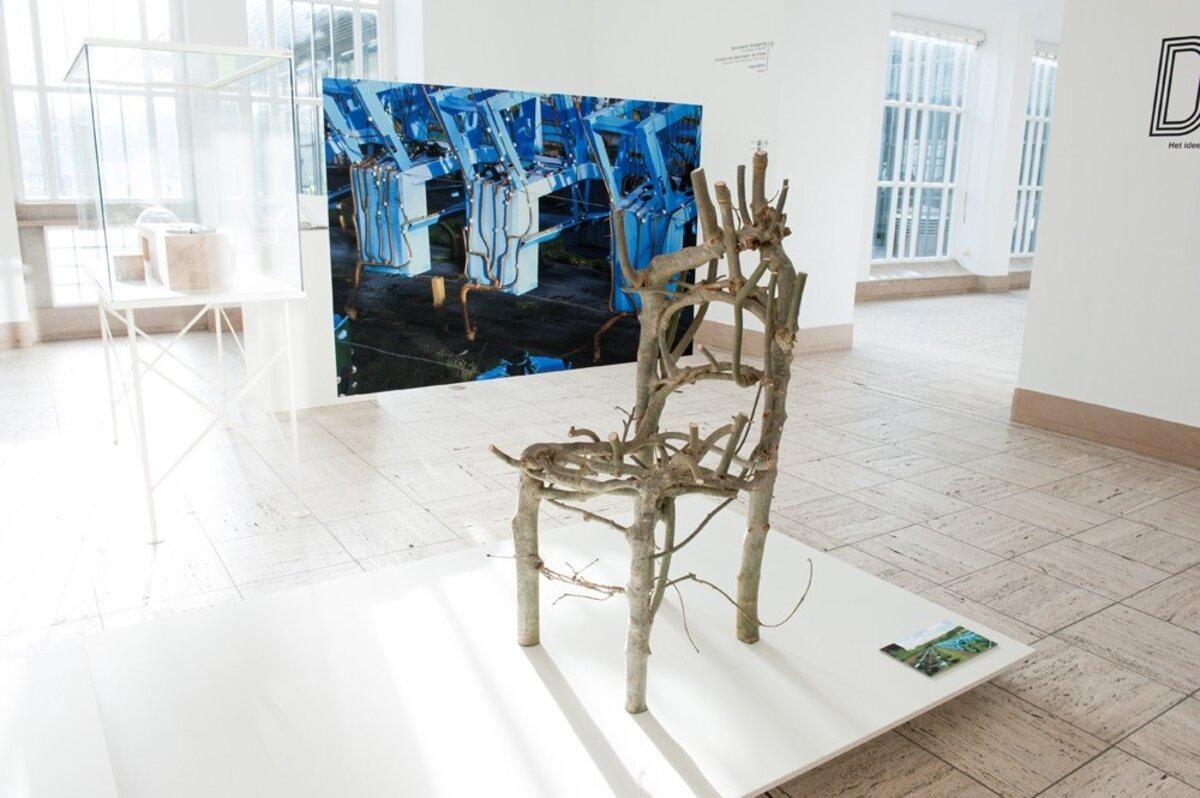 Стілець, вирощений з дерев Стілець, вирощений з дерев