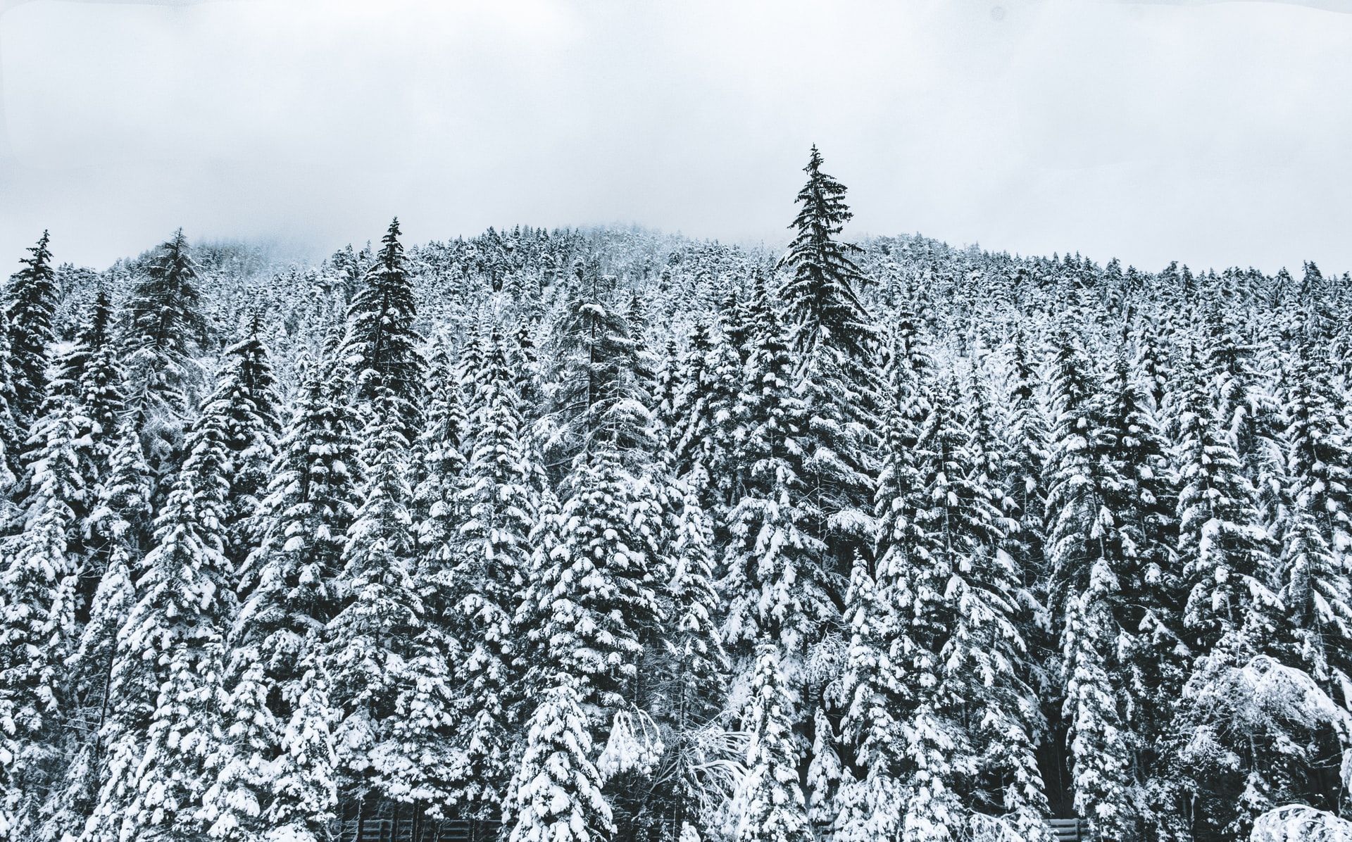 26 грудня 2020 – яке свято, що не можна робити 26 грудня 2020 – яке свято, що не можна робити