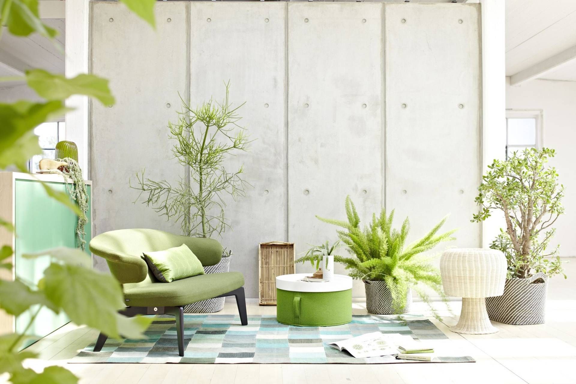 Вазони у спальні: добірка інтер'єрів з живими рослинами Вазони у спальні: добірка інтер'єрів з живими рослинами