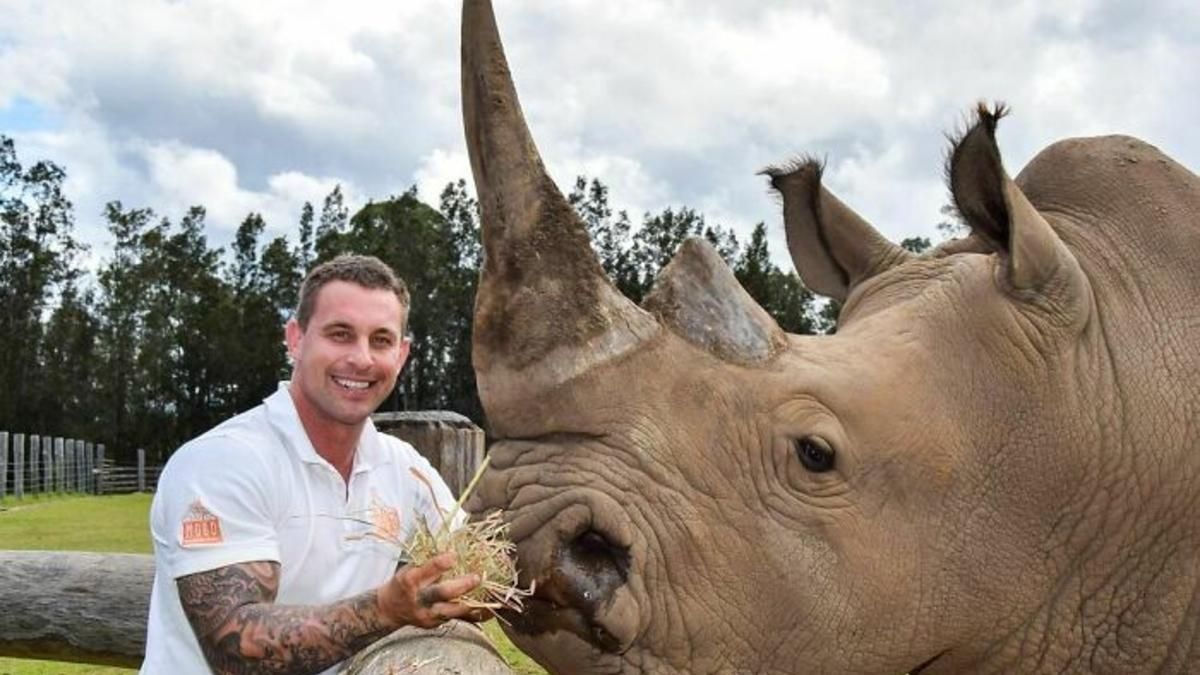 Обійнятись з левеням або погодувати носорога: інстаграм зоопрацівника
