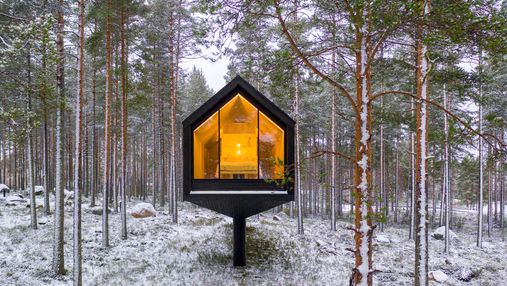 Гніздо серед дерев: як виглядає інтер'єр ідеального будинку для релаксу у Фінляндії