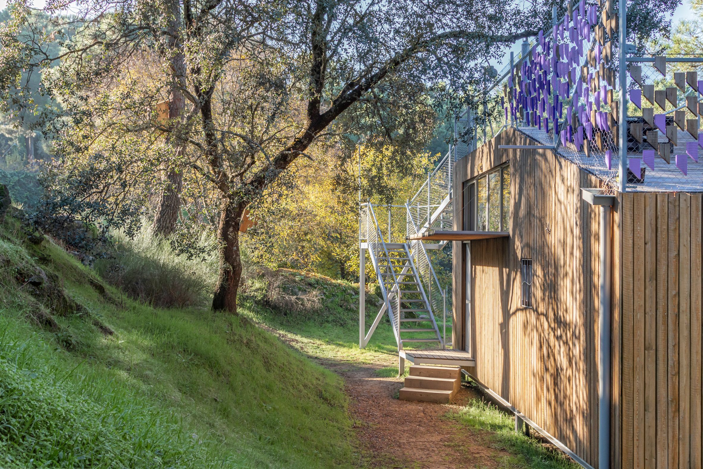 Дизайнер зробив собі маленький будинок для життя і роботи: фото Дизайнер зробив собі маленький будинок для життя і роботи: фото