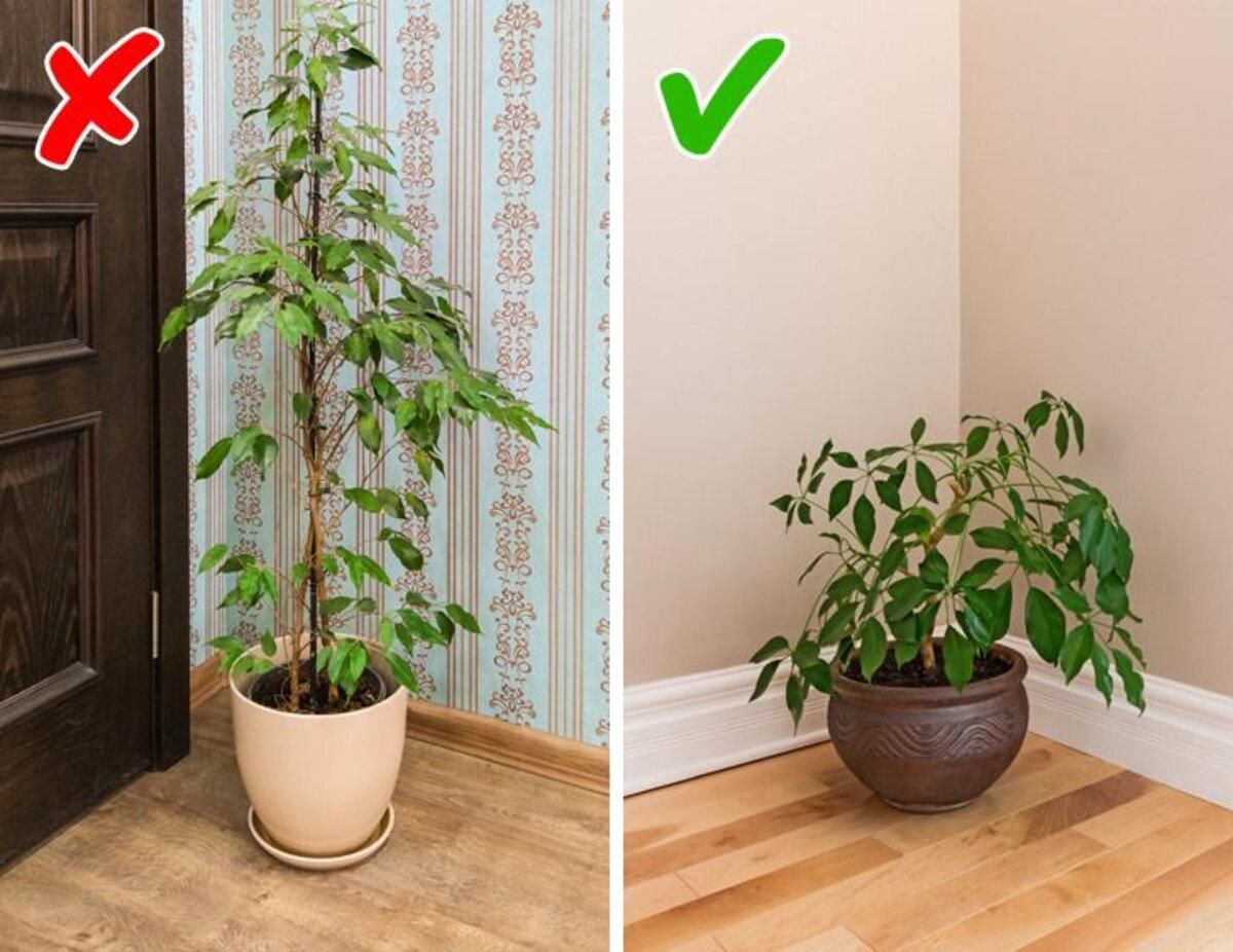 Вещи, которые свидетельствуют о дилетантском ремонте в квартире Вещи, которые свидетельствуют о дилетантском ремонте в квартире