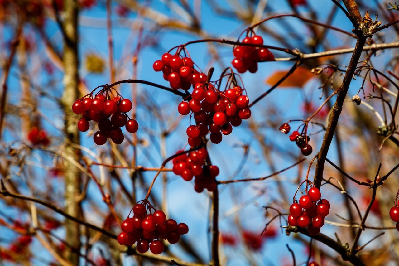 Картинки з Міжнародним днем рідної мови 2021: привітання зі святом Картинки з Міжнародним днем рідної мови 2021: привітання зі святом