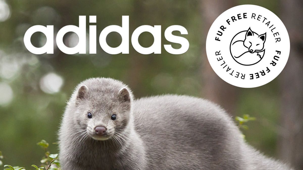 Adidas відмовився від використання натурального хутра