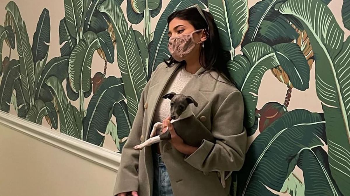 Кайлі Дженнер зі своєю собакою Кевіном: фото Кайлі Дженнер зі своєю собакою Кевіном: фото