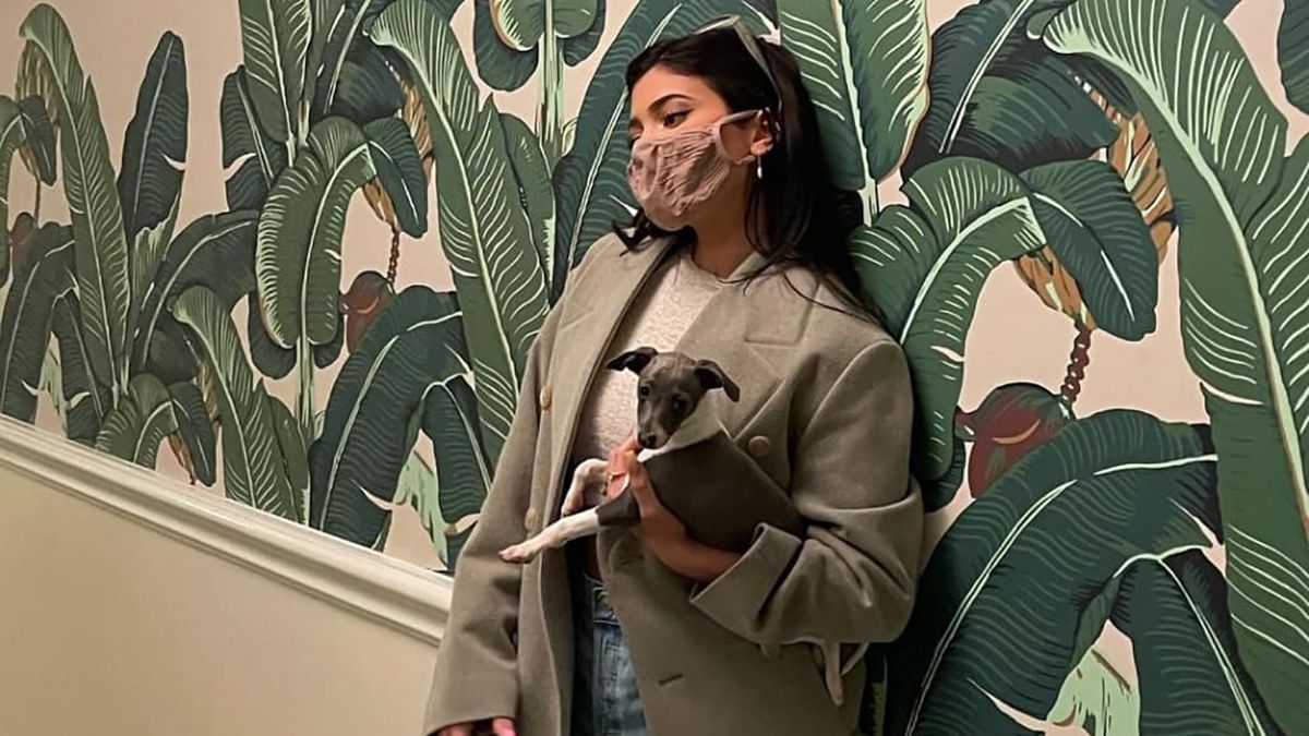 Кайли Дженнер со своей собакой Кевином: фото Кайли Дженнер со своей собакой Кевином: фото