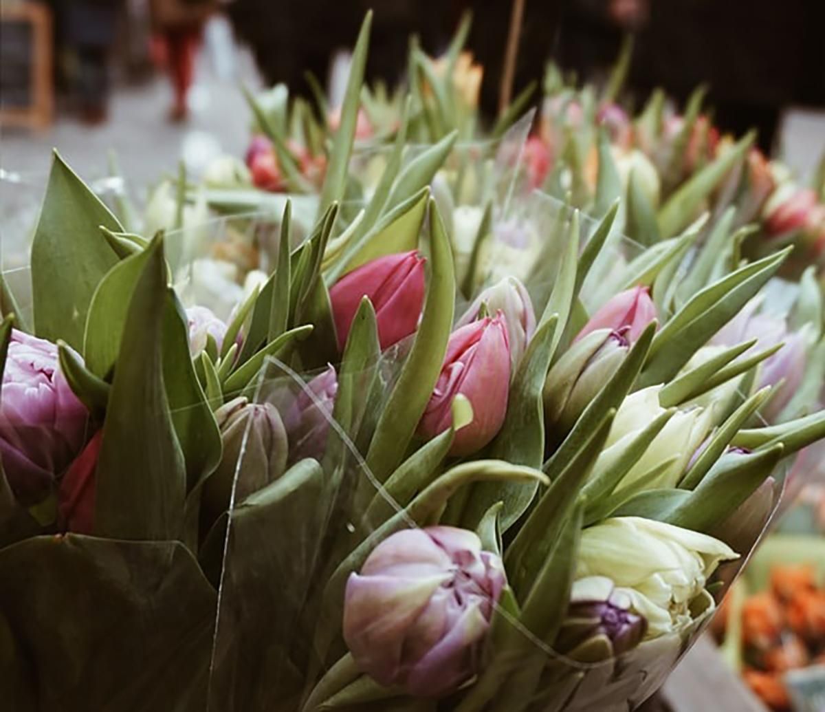 Забавная пижама или новый гаджет: какие подарки подойдут для 8 марта Забавная пижама или новый гаджет: какие подарки подойдут для 8 марта