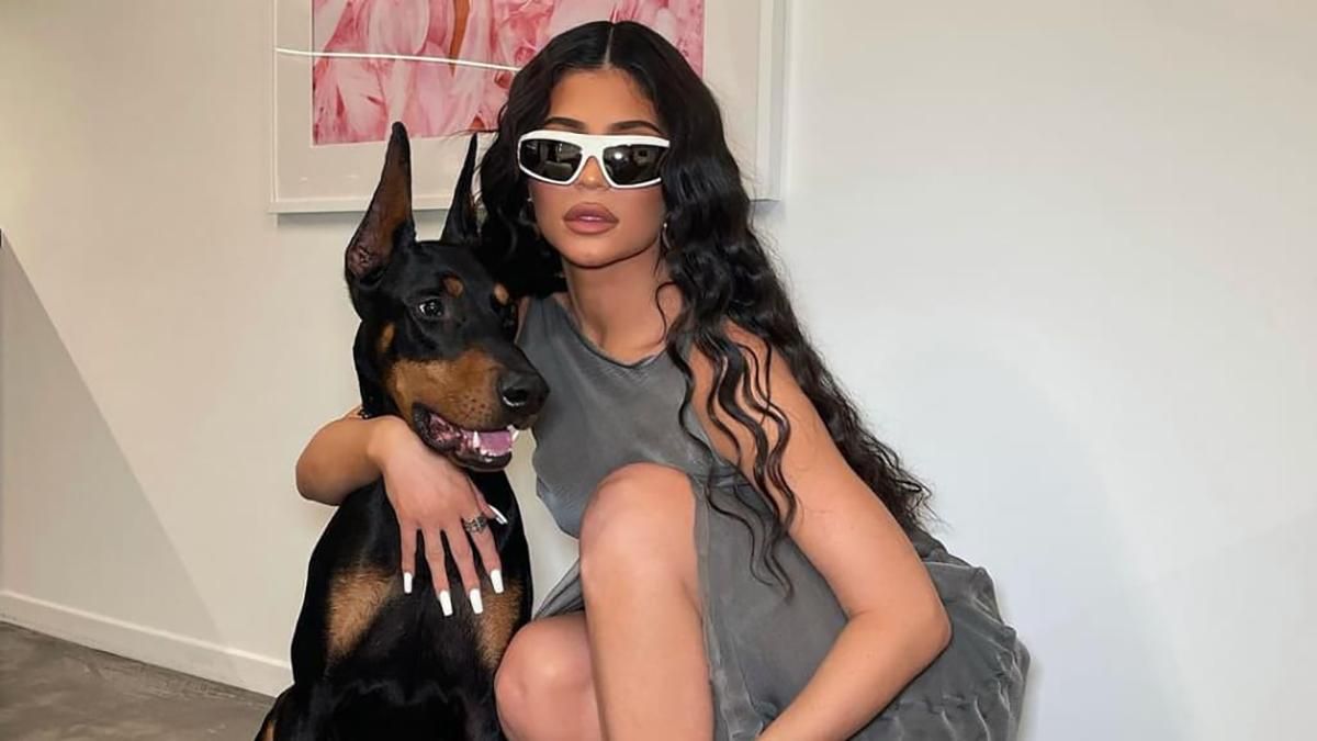 Кайлі Дженнер показала стильний образ Кайлі Дженнер показала стильний образ