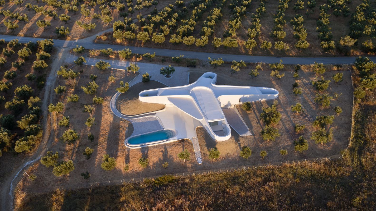 Дом-самолет, который затерялся в оливковых садах Греции: фото минималистичного проекта