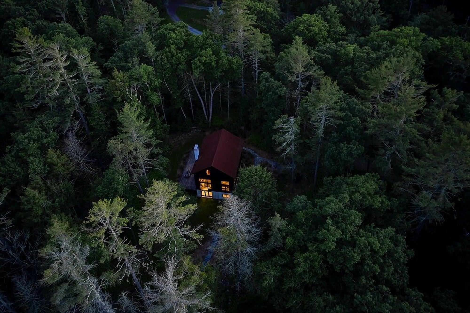 Дрімучий затишок: як виглядає дім посеред лісу у штаті Нью-Йорк 