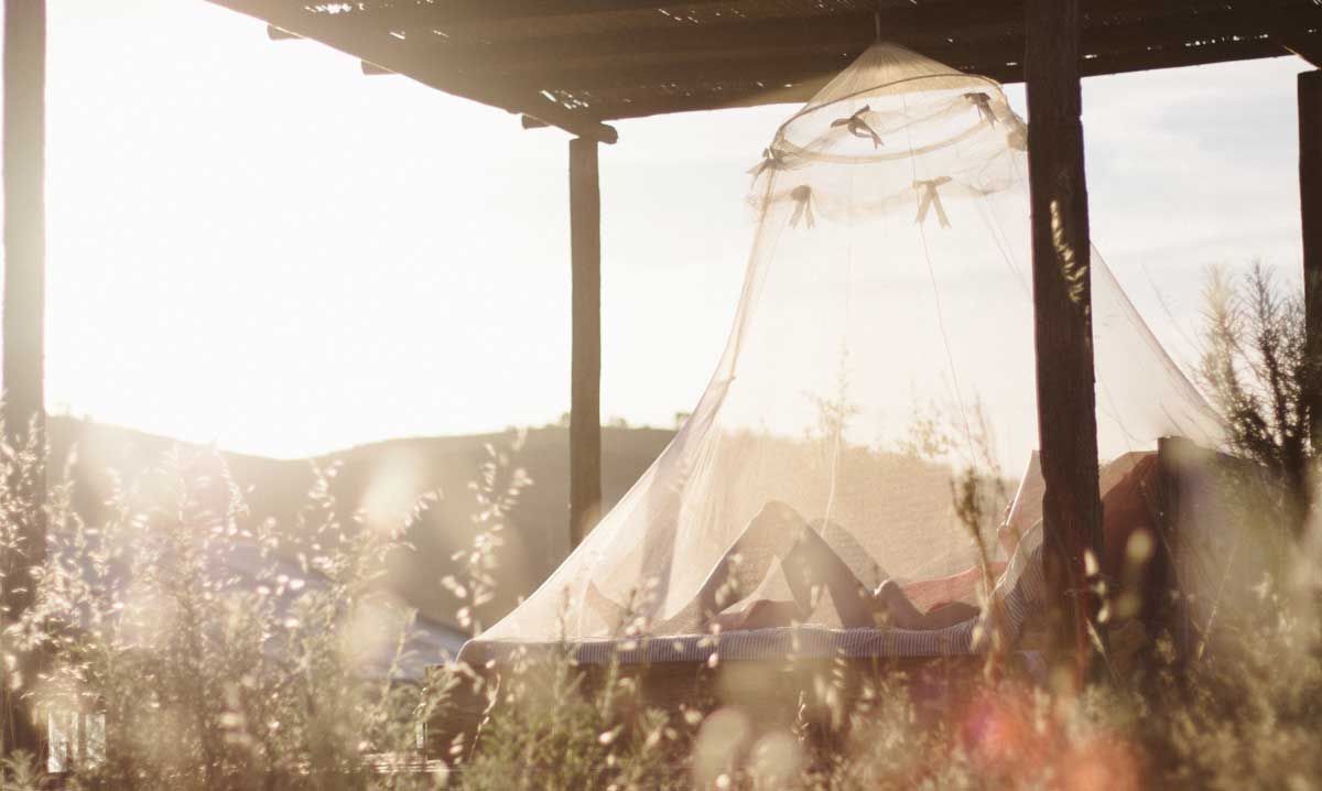 Як запобігти потраплянню комарів у ваш будинок влітку Як запобігти потраплянню комарів у ваш будинок влітку