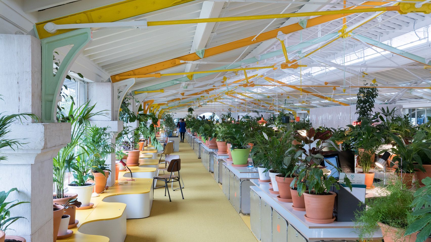 10 красивых идей для озеленения офиса: подборка фото - Дизайн 24