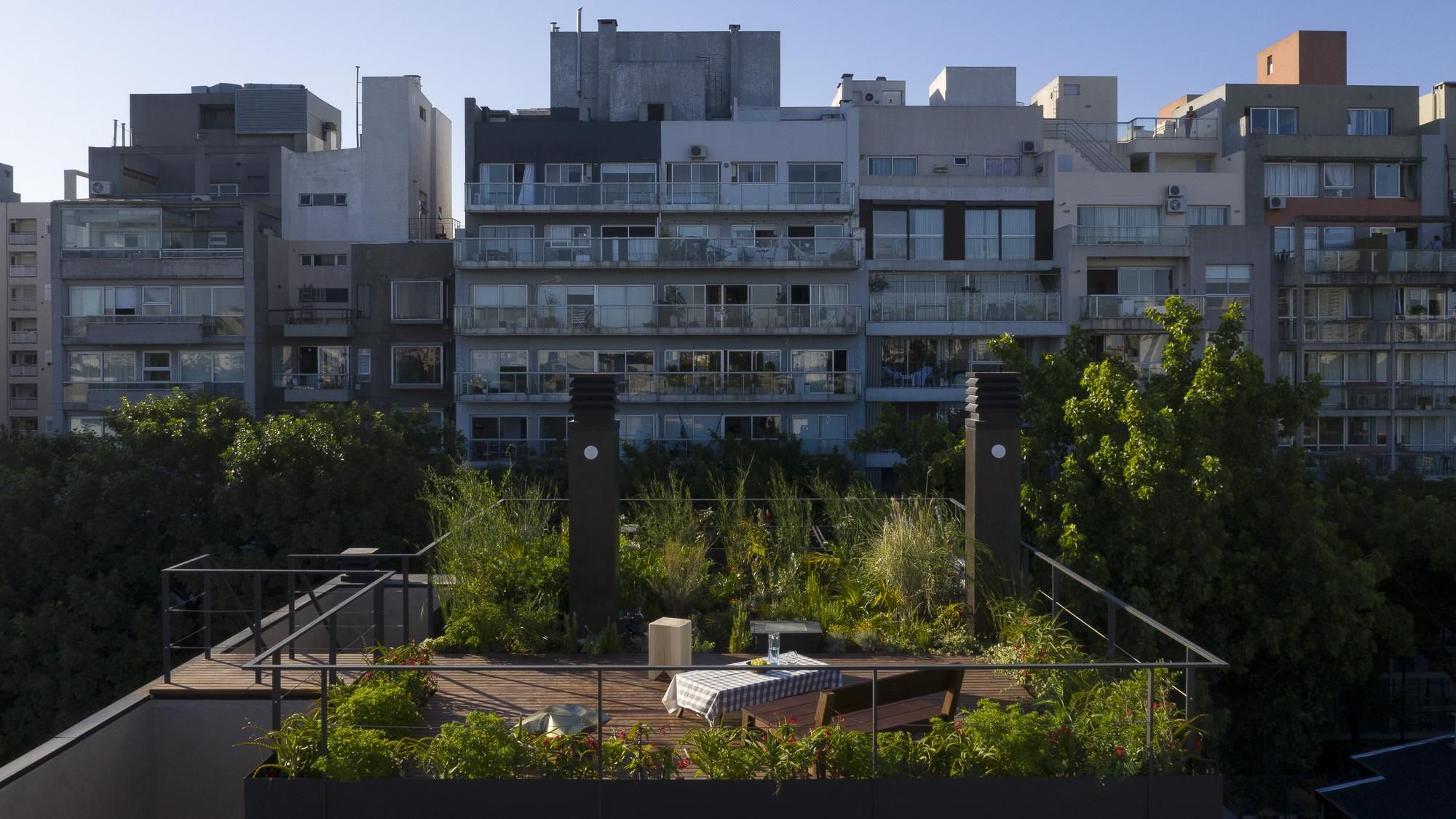 Як збільшити площу квартири у 2 рази: лаконічна прибудова на даху у Буенос-Айресі - Дизайн 24
