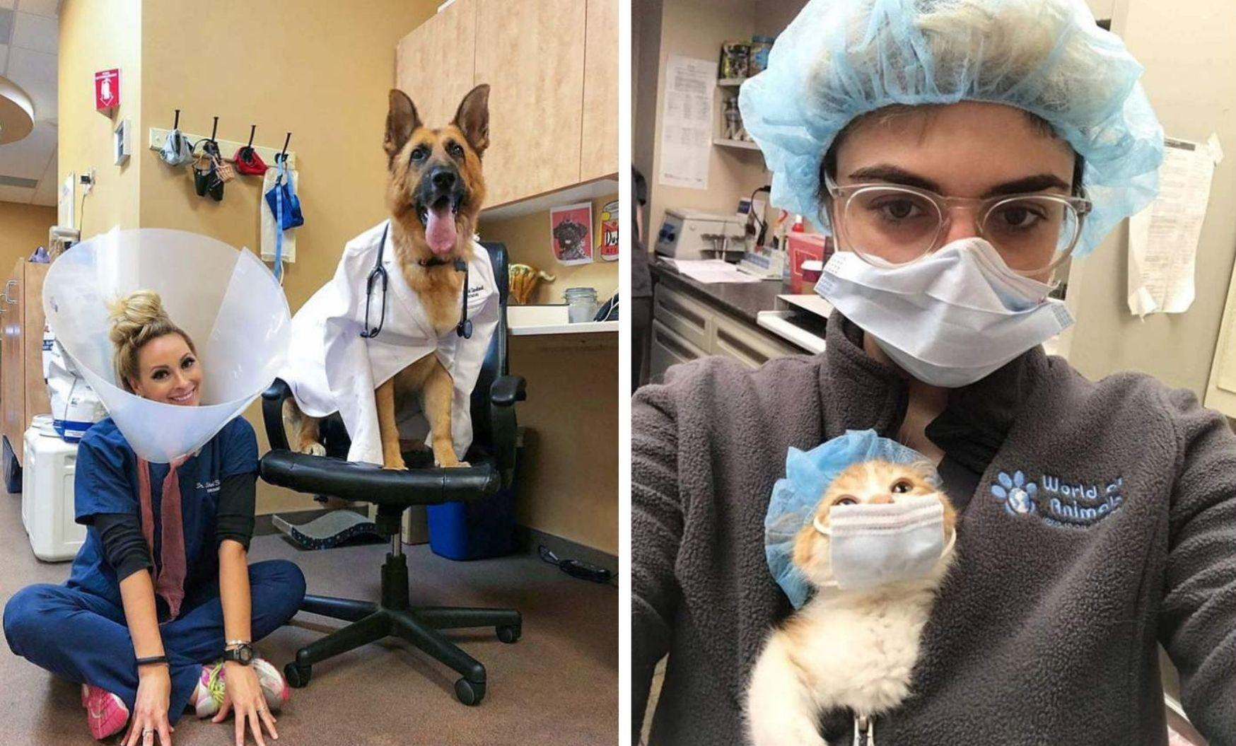 День ветеринара в Україні: кумедні фото лікарів та пацієнтів