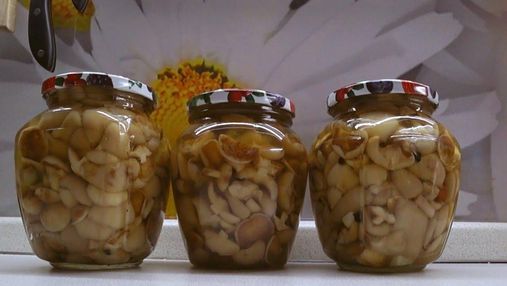 Как правильно закрыть маслята на зиму: домашний рецепт маринованных грибов