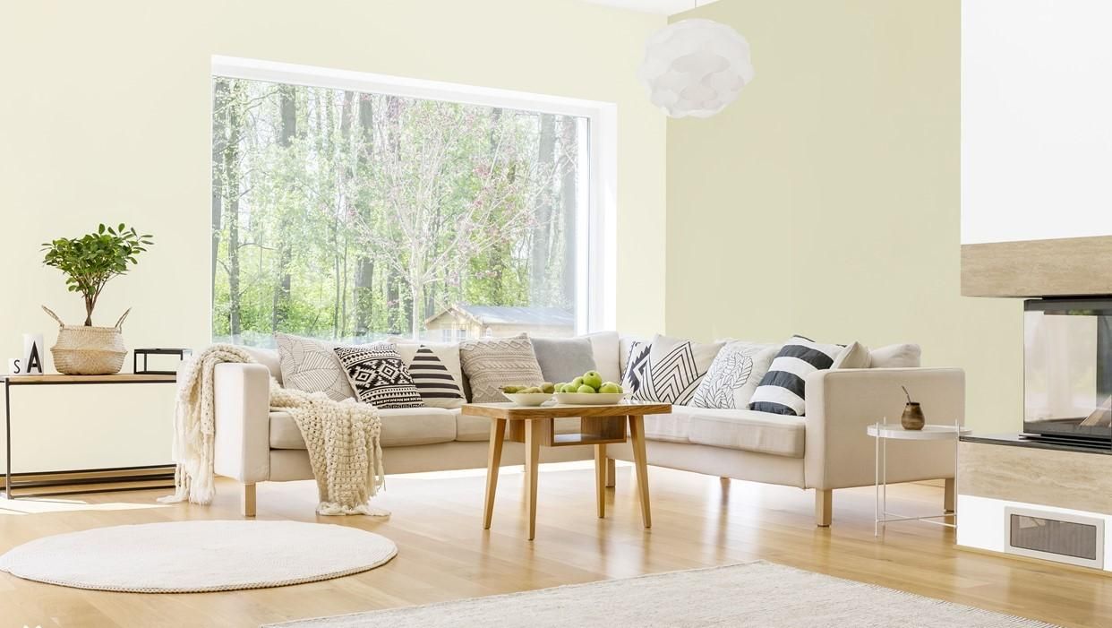 Безпечний та красивий дім: як обрати декор та дизайн для людини з алергією - Дизайн 24 Безпечний та красивий дім: як обрати декор та дизайн для людини з алергією - Дизайн 24