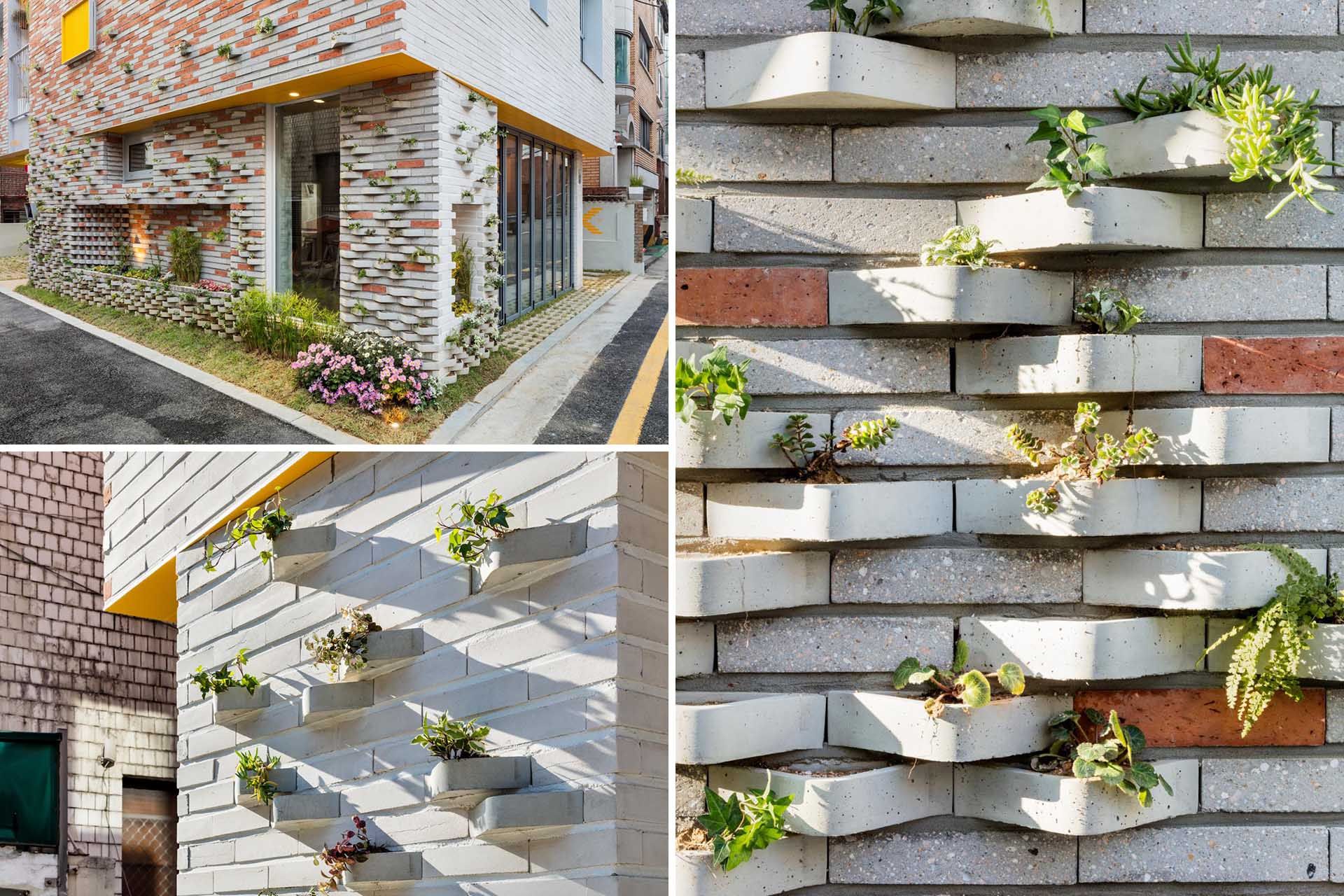Дивовижний фасад: як виглядають цеглини, призначені для рослин - Дизайн 24