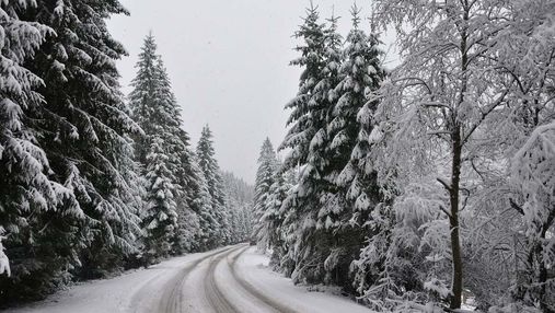 Казкова зима на Верховині: у мережі з'явилися пейзажні світлини
