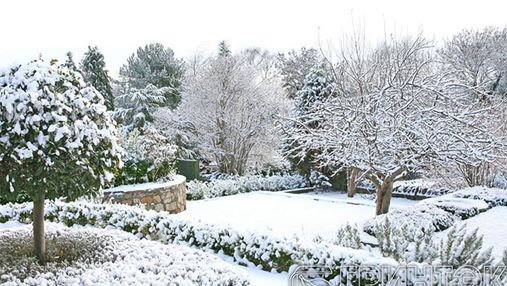 Забота о красоте: как ухаживать за садом зимой