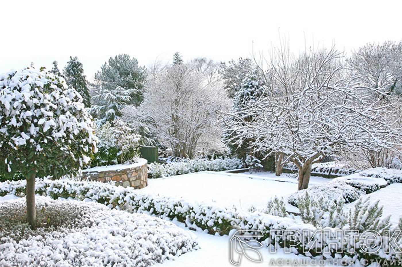 Забота о красоте: как ухаживать за садом зимой - Дизайн 24